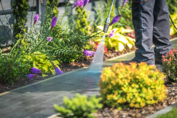 Best Restaurant Pressure Washing  in Springfield, TN